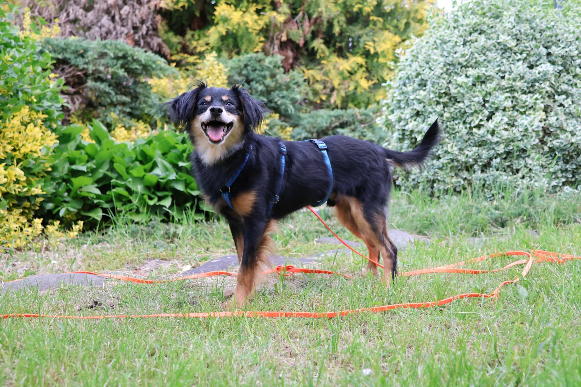 394/24 Tobi