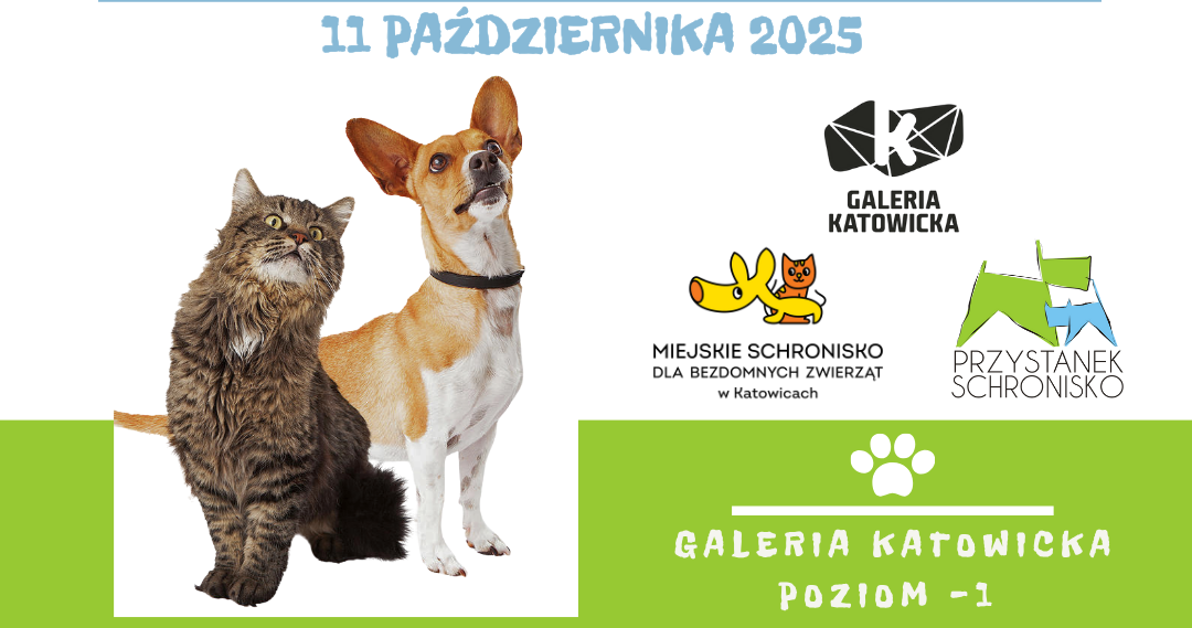 Odwiedziny w Galerii Katowickiej – 11 października 2025