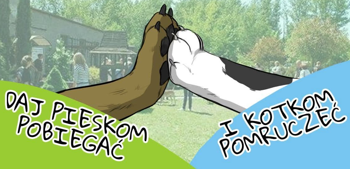 Daj Pieskom Pobiegać i Kotkom Pomruczeć – 12 kwietnia 2026