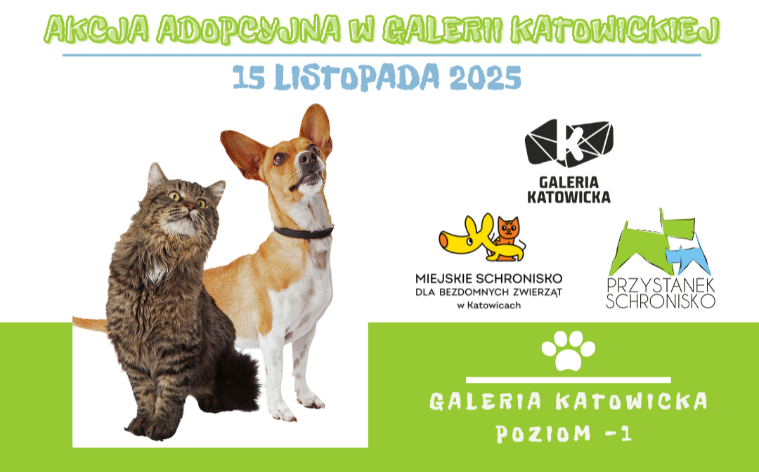Odwiedziny w Galerii Katowickiej – 15 listopada 2025