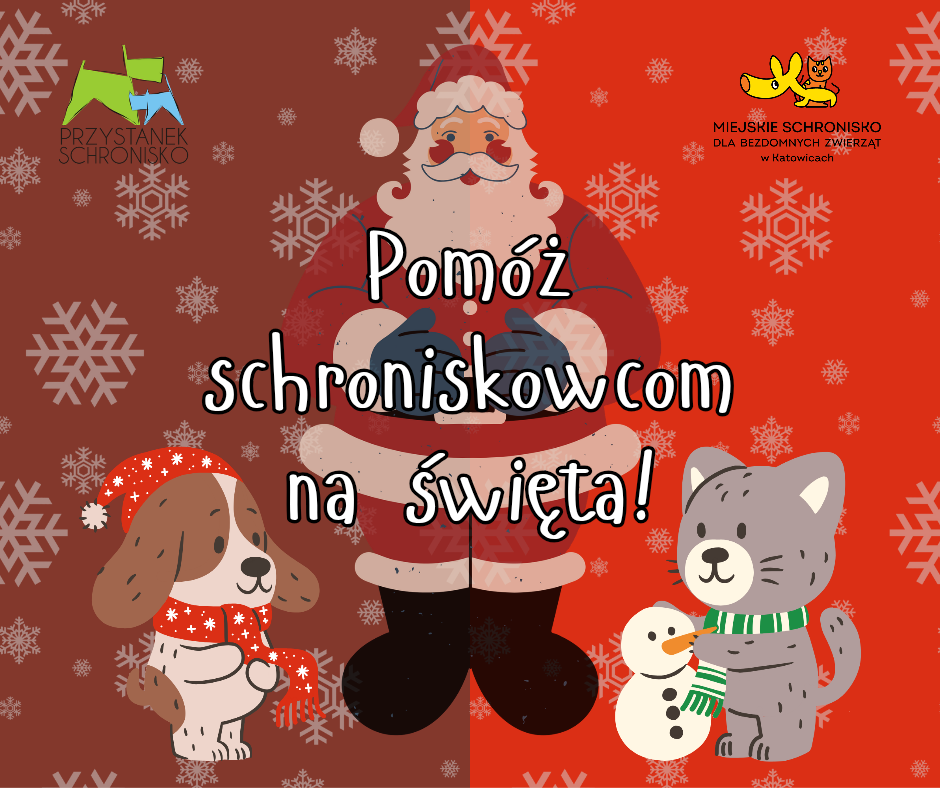 Świąteczna zbiórka 🎄🎁