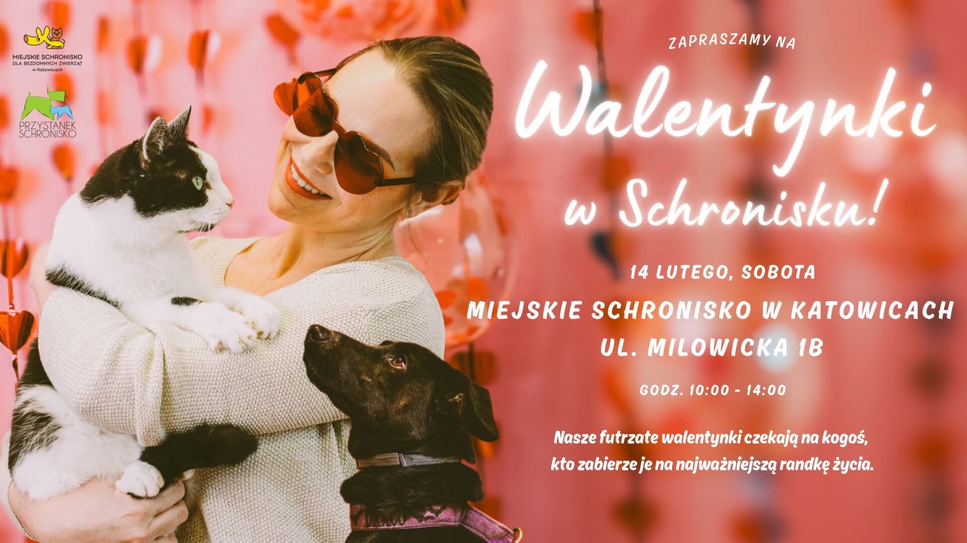 Walentynki w Schronisku – Daj Pieskom Pobiegać i Kotkom Pomruczeć – 14 lutego 2026