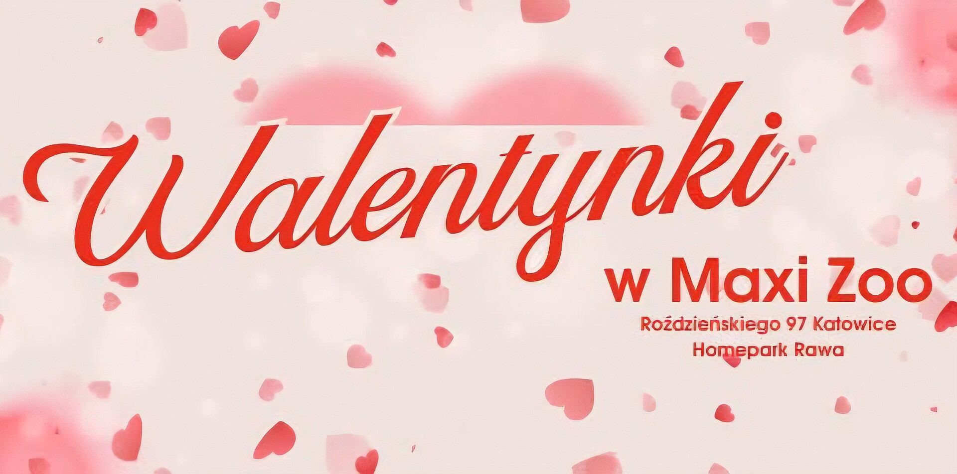Walentynkowa sobota w Maxi Zoo HOMEPARK Rawa!