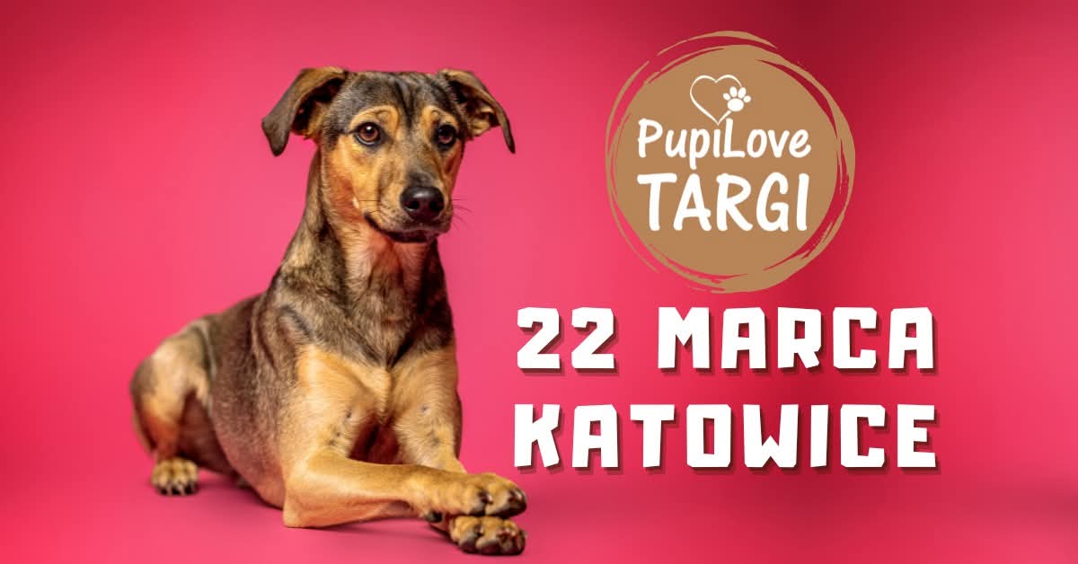 Pupilove Targi w Libero – 22 marca 2026