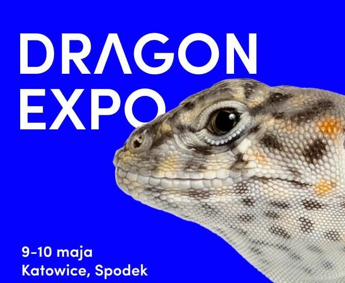 Dragon Expo w katowickim Spodku: 9-10 maja